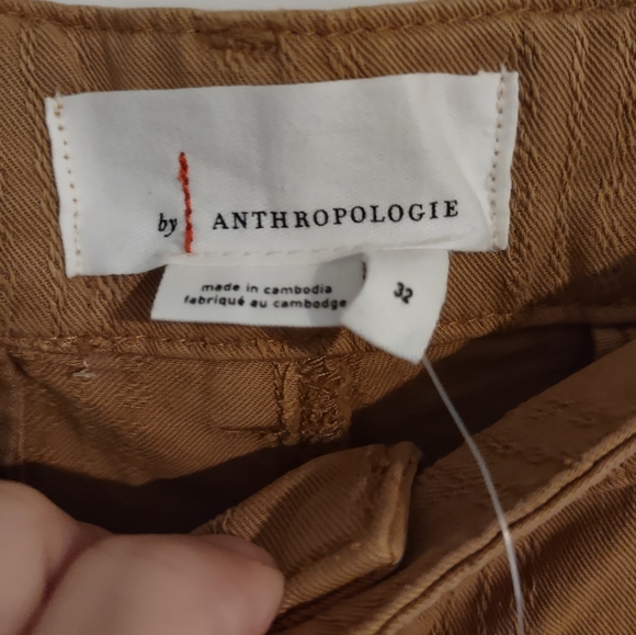 Anthropologie NWT Scout Slim Pleated Embroidered Pants Honey - Picture 3 of 16